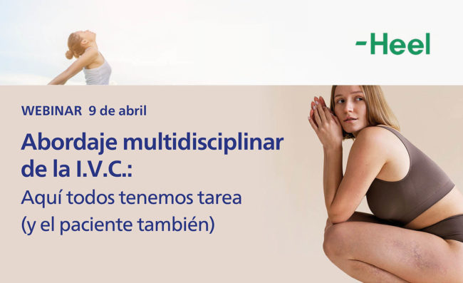 webinar-IVC-9abril24