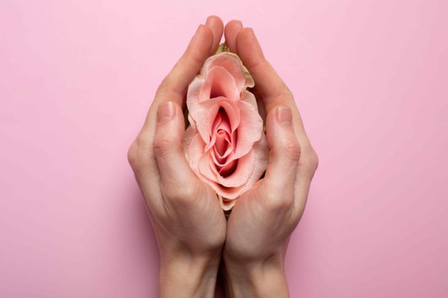 probioticos-microbiota-vaginal